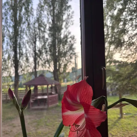 Rekreacko Hruba Strana Apartament Bzince pod Javorinou