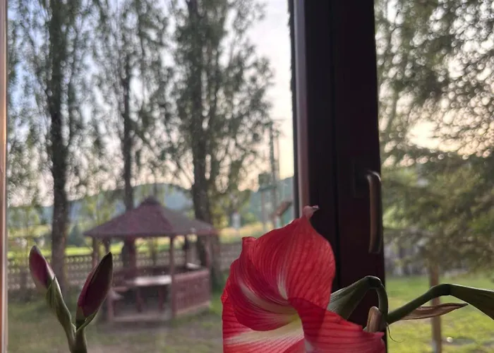 Rekreacko Hruba Strana 公寓 Bzince pod Javorinou